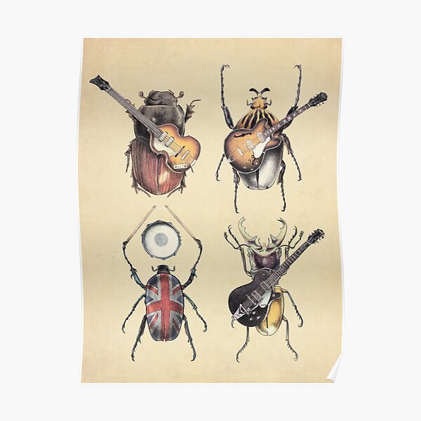 Meet the Beetles Poster