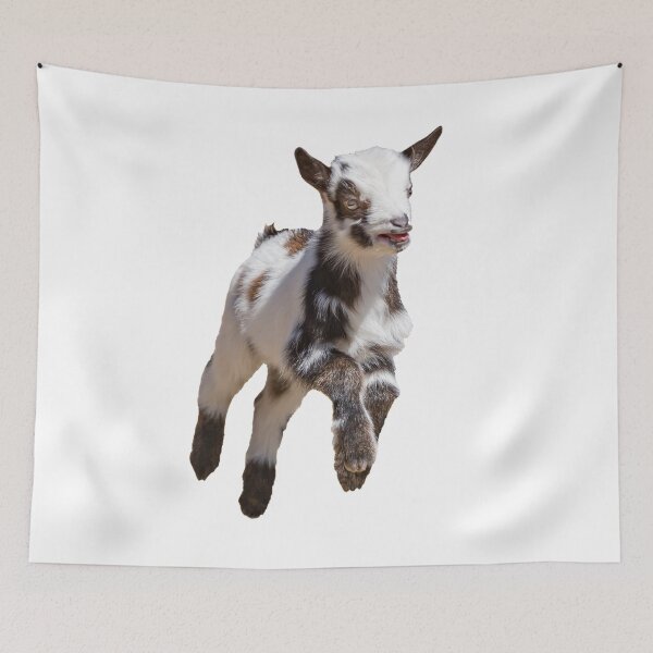 Item preview, Bouncing Baby Goat VII designed and sold by OryPhotography.