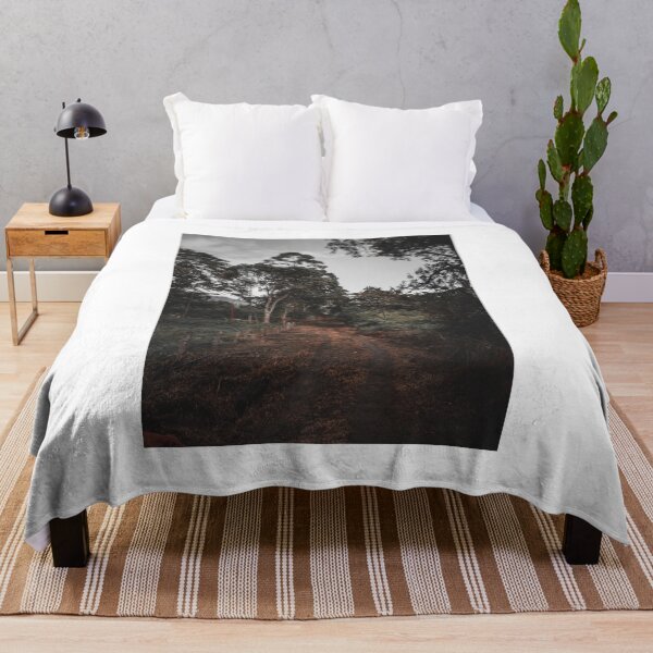Item preview, Dirt roads, where nature is the boss designed and sold by Jefferson León.