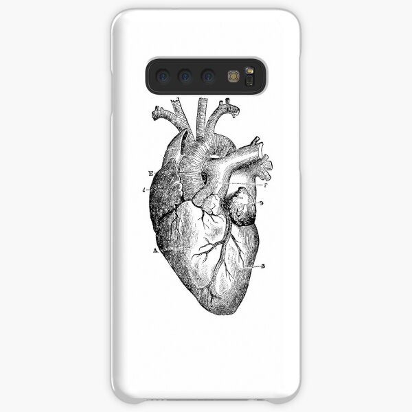 Hullen Anatomisches Herz Redbubble