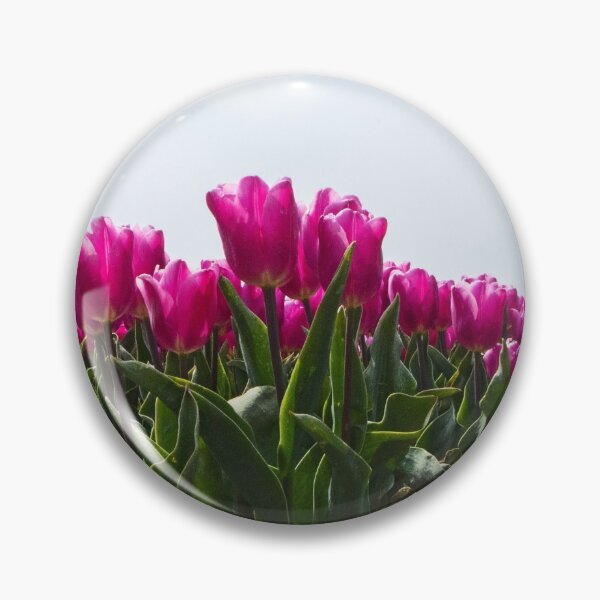 Item preview, The tulips are out! designed and sold by jchanders.
