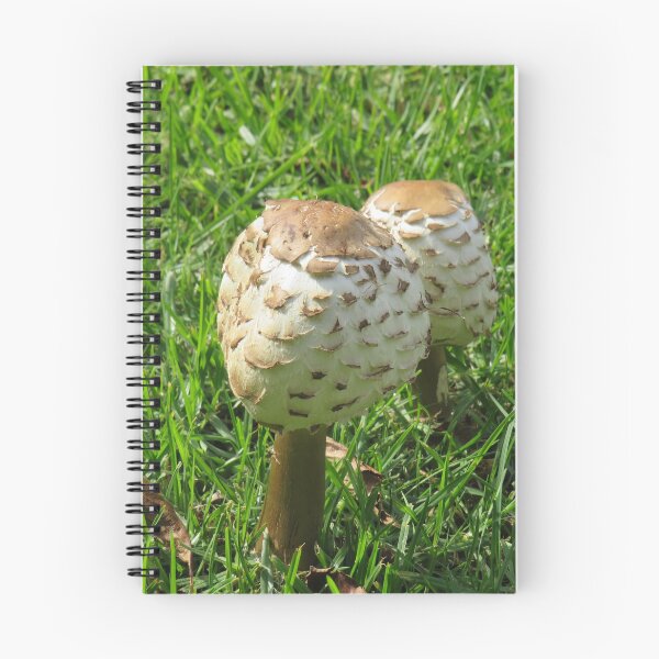 Item preview, Scaly mushrooms designed and sold by greentiger1.