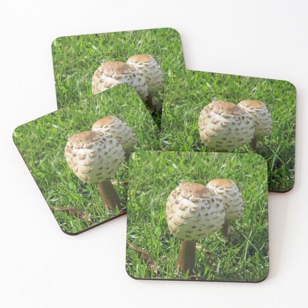 Item preview, Scaly mushrooms designed and sold by greentiger1.