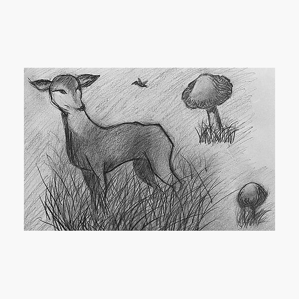 Deer - Drawing Skill