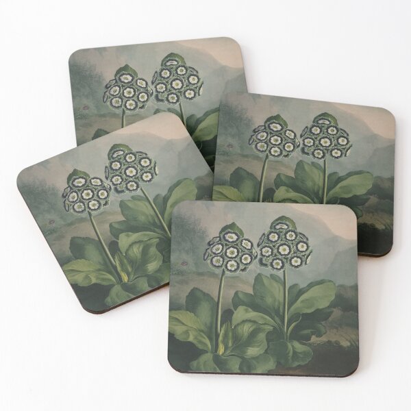 Item preview, Auricula (1807) designed and sold by HomeStageStudio.