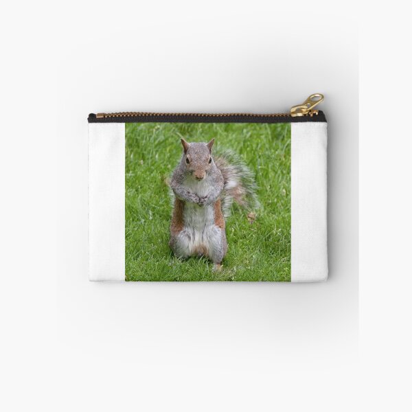 Item preview, grey or gray squirrel designed and sold by Leighton Collins.