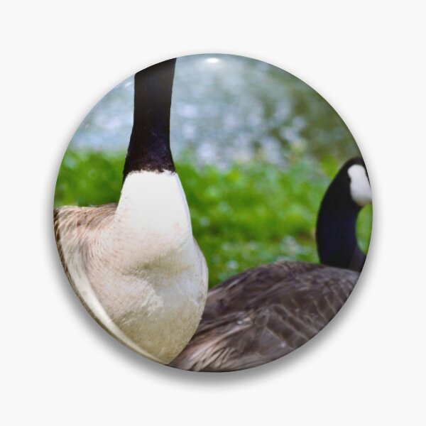 Artikelvorschau, Schöne kanadische Gänse entworfen und verkauft von Warren  Thompson.