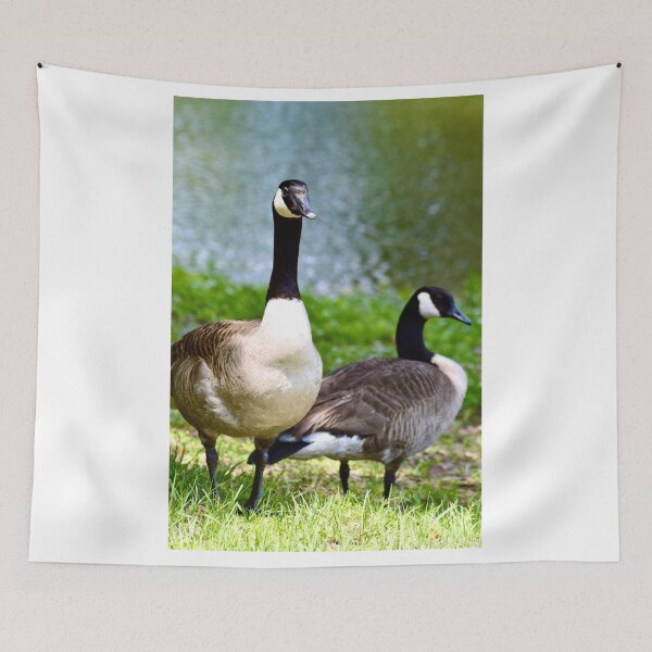 Item preview, Beautiful Canadian Geese designed and sold by Warren  Thompson.