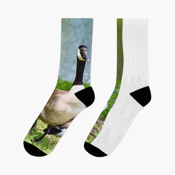 Item preview, Beautiful Canadian Geese designed and sold by Warren  Thompson.