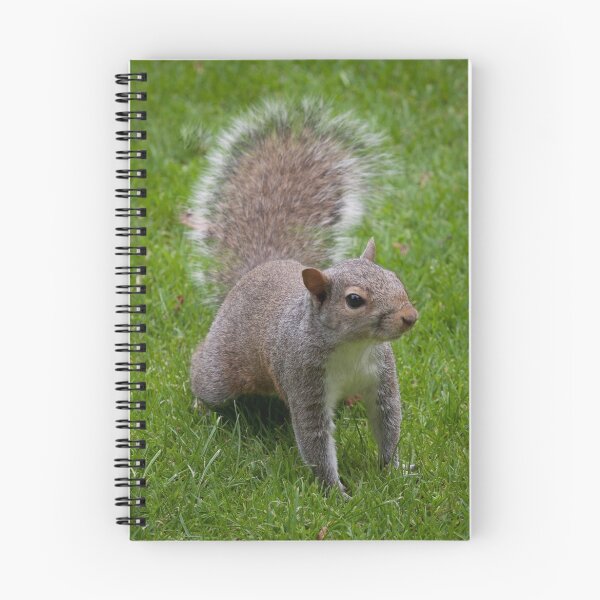 Item preview, Eastern tree squirrel designed and sold by Leighton Collins.