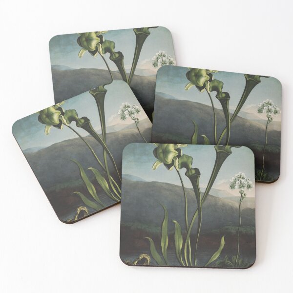 Item preview, Yellow Pitcher Plant with Venus Fly Trap (1807) designed and sold by HomeStageStudio.