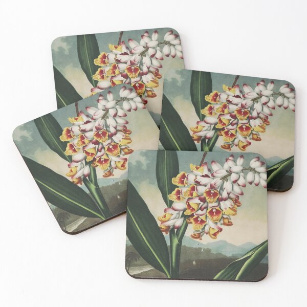 Item preview, Nodding Renealmia (1807) designed and sold by HomeStageStudio.