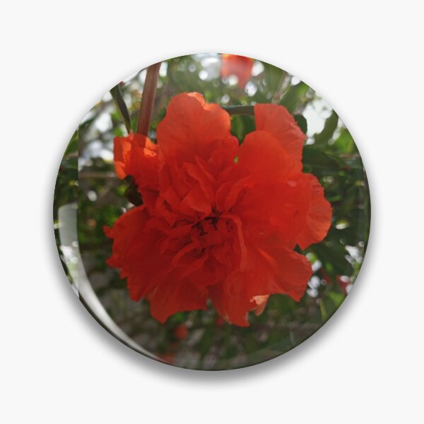 Item preview, Pomegranate  designed and sold by Hcneyny.