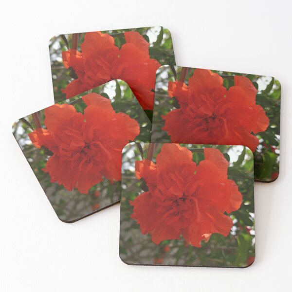 Item preview, Pomegranate  designed and sold by Hcneyny.