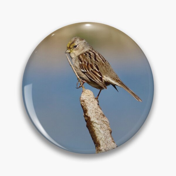 Item preview, Bird Perched on a Cattail designed and sold by KsbAesthetics.