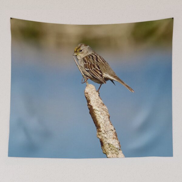 Item preview, Bird Perched on a Cattail designed and sold by KsbAesthetics.