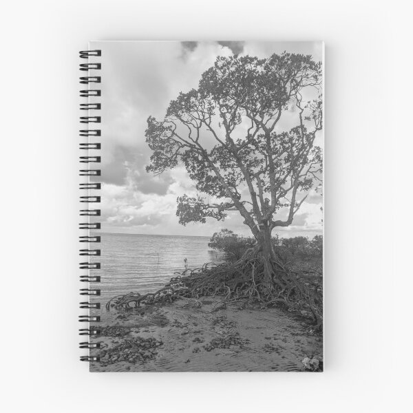 Item preview, Low Tide, Cape Tribulation designed and sold by kateblank2.