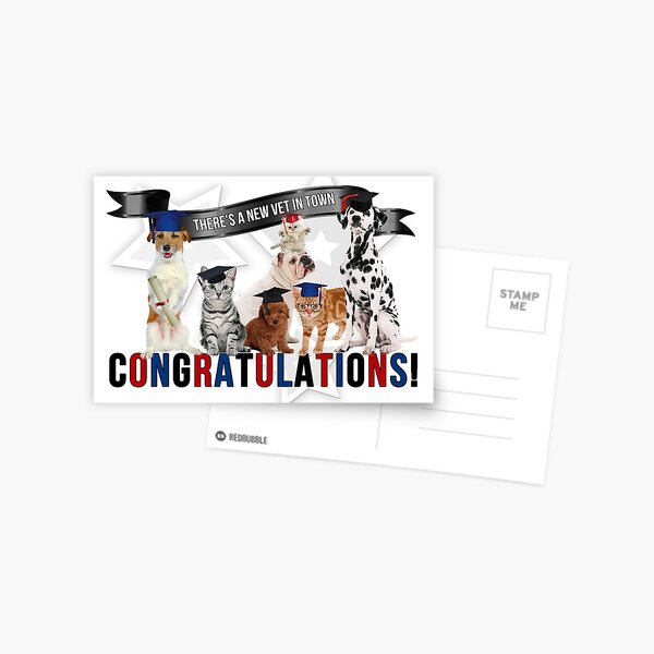 Veterinary Graduate Cats and Dogs Postcard