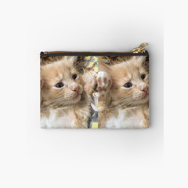 Item preview, Copy of Ginger Ragdoll Mainecoon kitten designed and sold by Fluffycat2020.