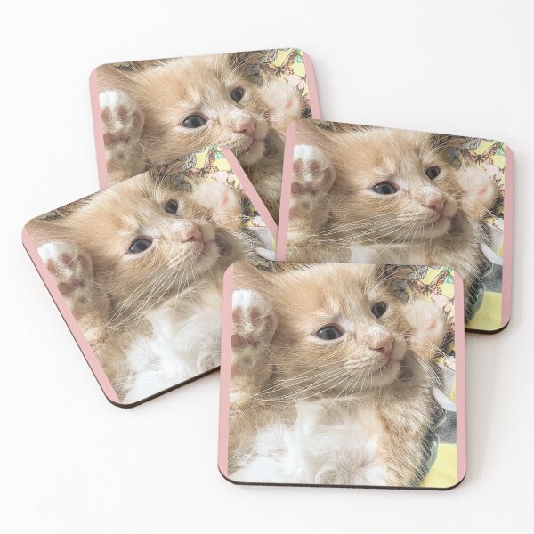 Item preview, Copy of Ginger Ragdoll Mainecoon kitten designed and sold by Fluffycat2020.