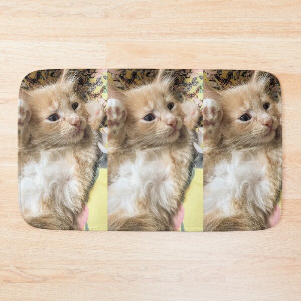 Item preview, Copy of Ginger Ragdoll Mainecoon kitten designed and sold by Fluffycat2020.