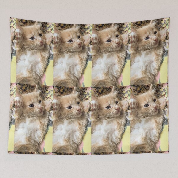 Item preview, Copy of Ginger Ragdoll Mainecoon kitten designed and sold by Fluffycat2020.