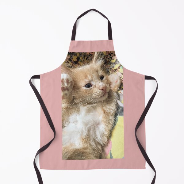 Item preview, Copy of Ginger Ragdoll Mainecoon kitten designed and sold by Fluffycat2020.
