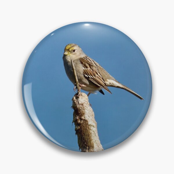 Item preview, Small Bird on a Cattail designed and sold by KsbAesthetics.