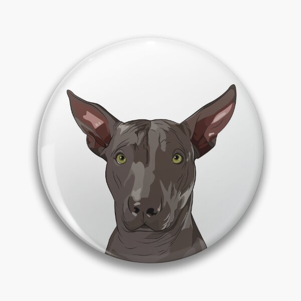 Item preview, Xoloitzcuintli designed and sold by quintymoda.