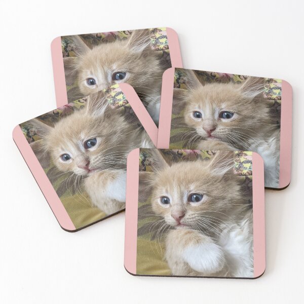 Item preview, Copy of Ginger Ragdoll Mainecoon kitten designed and sold by Fluffycat2020.