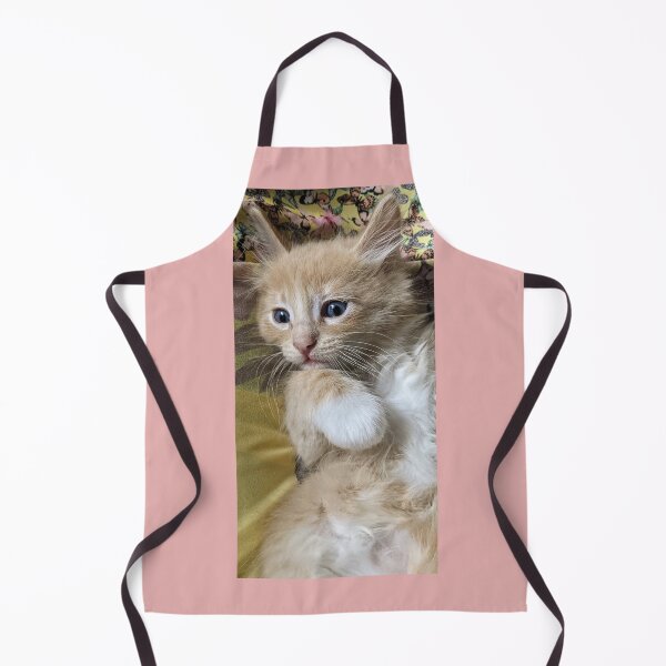 Item preview, Copy of Ginger Ragdoll Mainecoon kitten designed and sold by Fluffycat2020.
