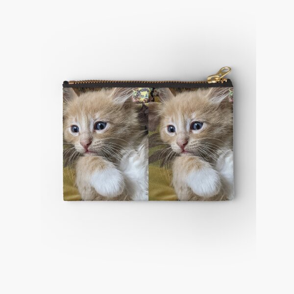 Item preview, Copy of Ginger Ragdoll Mainecoon kitten designed and sold by Fluffycat2020.