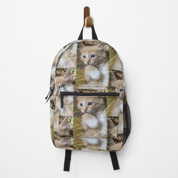 Item preview, Copy of Ginger Ragdoll Mainecoon kitten designed and sold by Fluffycat2020.