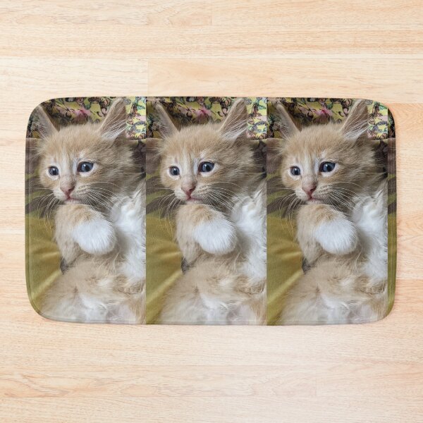 Item preview, Copy of Ginger Ragdoll Mainecoon kitten designed and sold by Fluffycat2020.