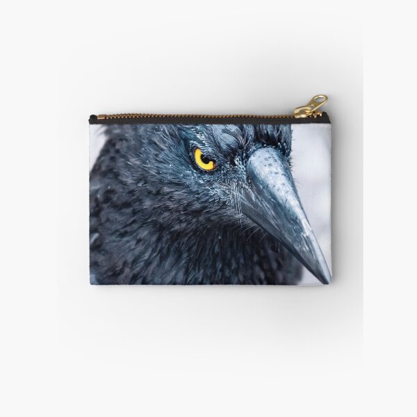 Item preview, Pied Currawong at Cradle Mountain 2. designed and sold by Alex Preiss.