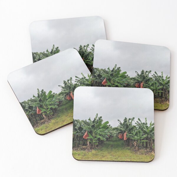 Item preview, Banana Plantation, Queensland designed and sold by kateblank2.