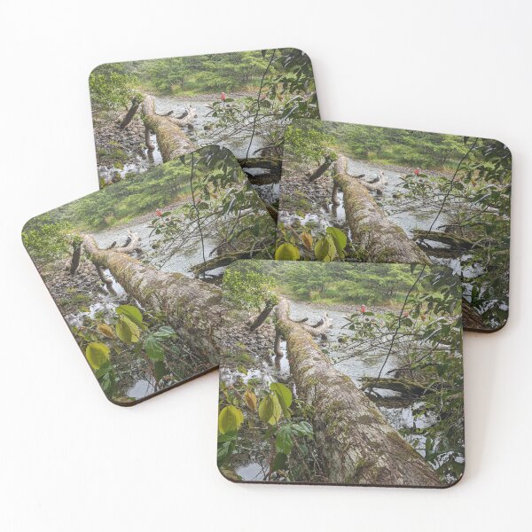 Item preview, Rainforest, Babinda designed and sold by kateblank2.
