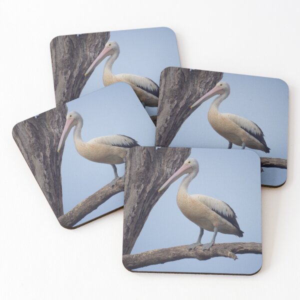 Item preview, Juvenile Pelican designed and sold by D-GaP.