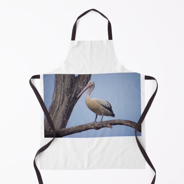 Item preview, Juvenile Pelican designed and sold by D-GaP.