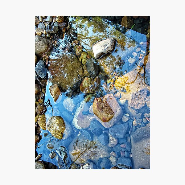 Item preview, Rocks, water, trees, reflection designed and sold by Kitsmumma.