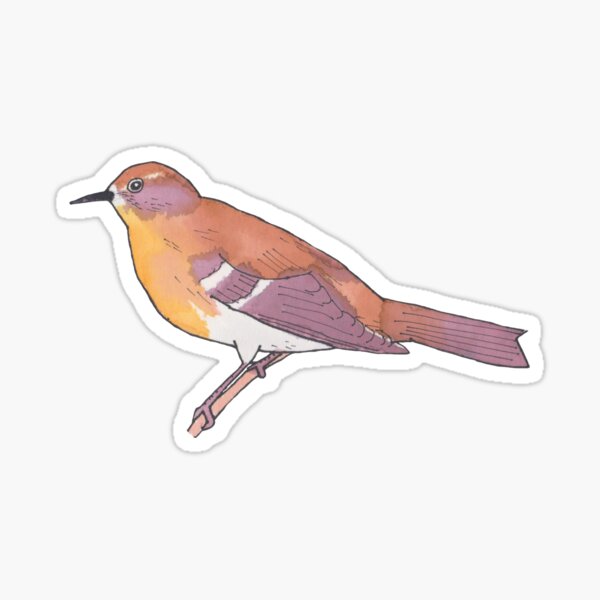 Vogelart Geschenke Merchandise Redbubble