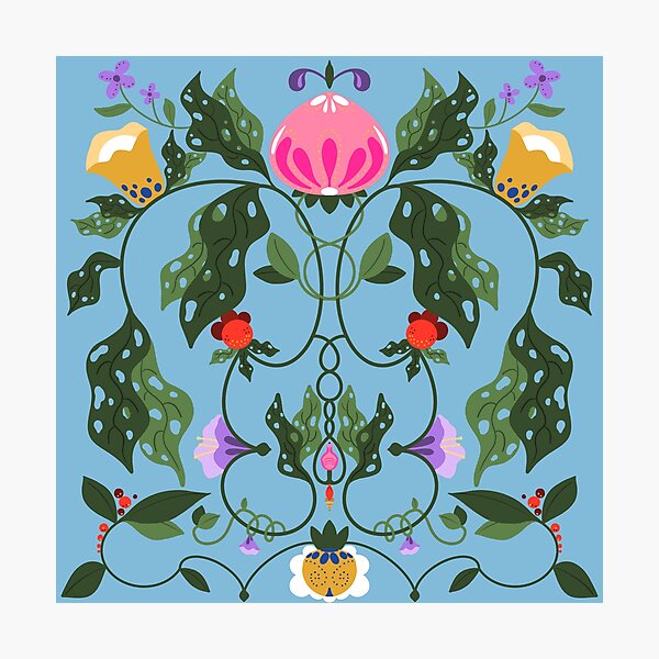 Flower symmetry Photographic Print