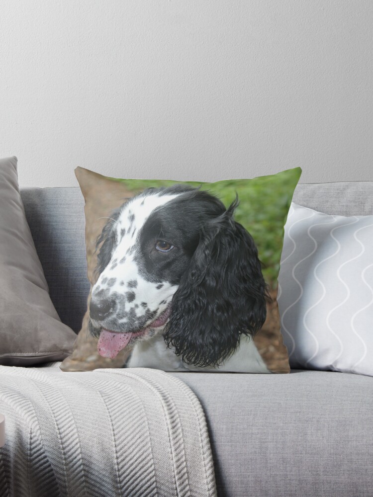 spaniel throw