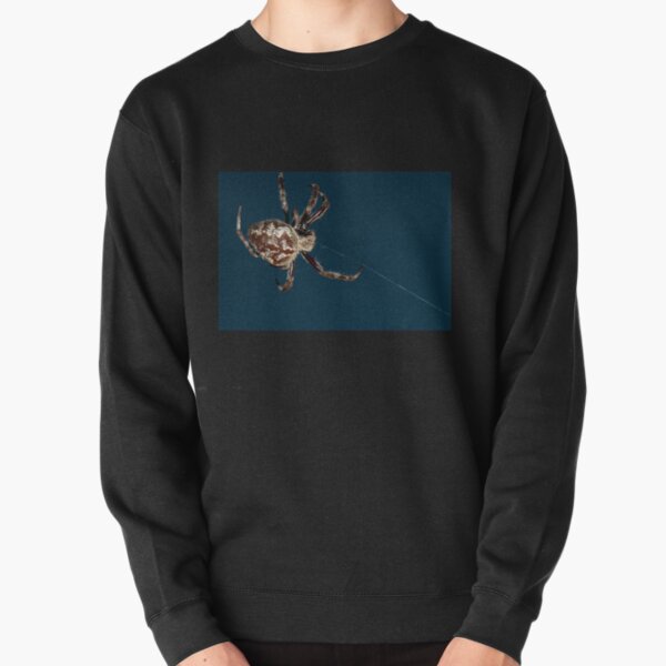 Orb Weaver, Botany Bay Pullover Sweatshirt