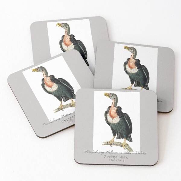 Item preview, Black Vulture Vintage Color Illustration By George Shaw Design designed and sold by EarthArtDesigns.