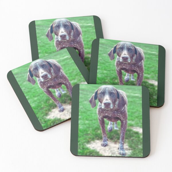 Item preview, Summertime Pointer designed and sold by H  Schneiter.