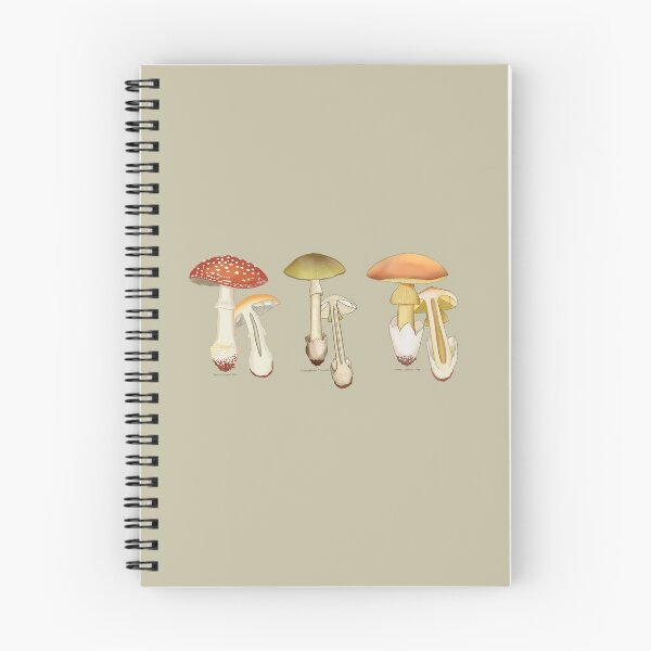 Item preview, Mushroom Trio Illustration designed and sold by PieceOfQuirk.