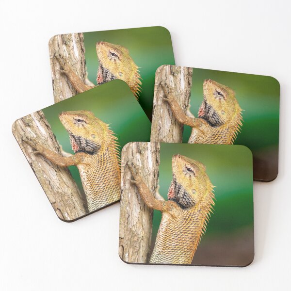 Item preview, Chameleon Agamids Changeable Lizard Calotes versicolor while crawling in a tree with a very smooth nature background designed and sold by Artsy Boulevard.