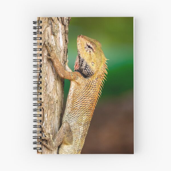 Item preview, Chameleon Agamids Changeable Lizard Calotes versicolor while crawling in a tree with a very smooth nature background designed and sold by Artsy Boulevard.