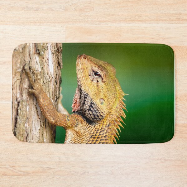 Item preview, Chameleon Agamids Changeable Lizard Calotes versicolor while crawling in a tree with a very smooth nature background designed and sold by Artsy Boulevard.